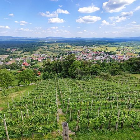 Zidanica-Vineyard Cottage Jakse Semic Kültér fotó