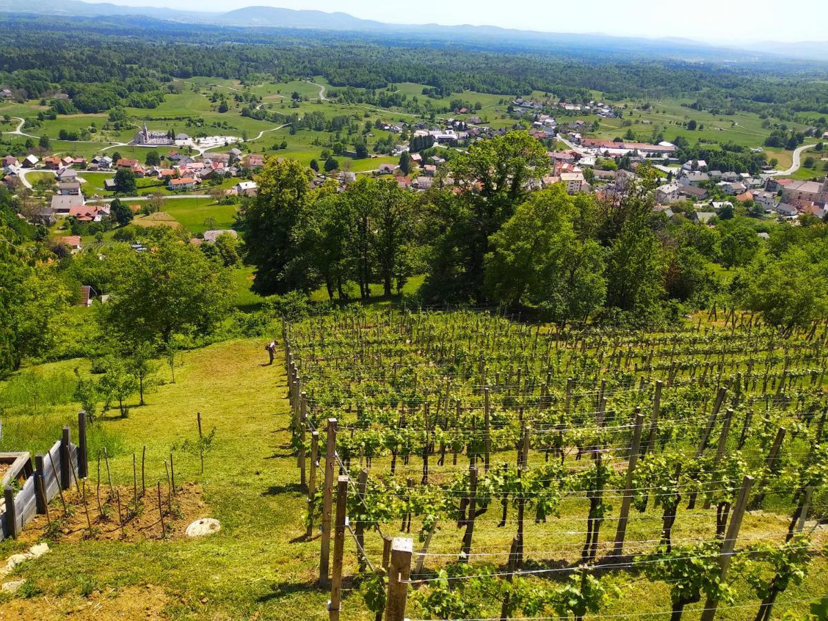 Zidanica-Vineyard Cottage Jakse Semic Kültér fotó
