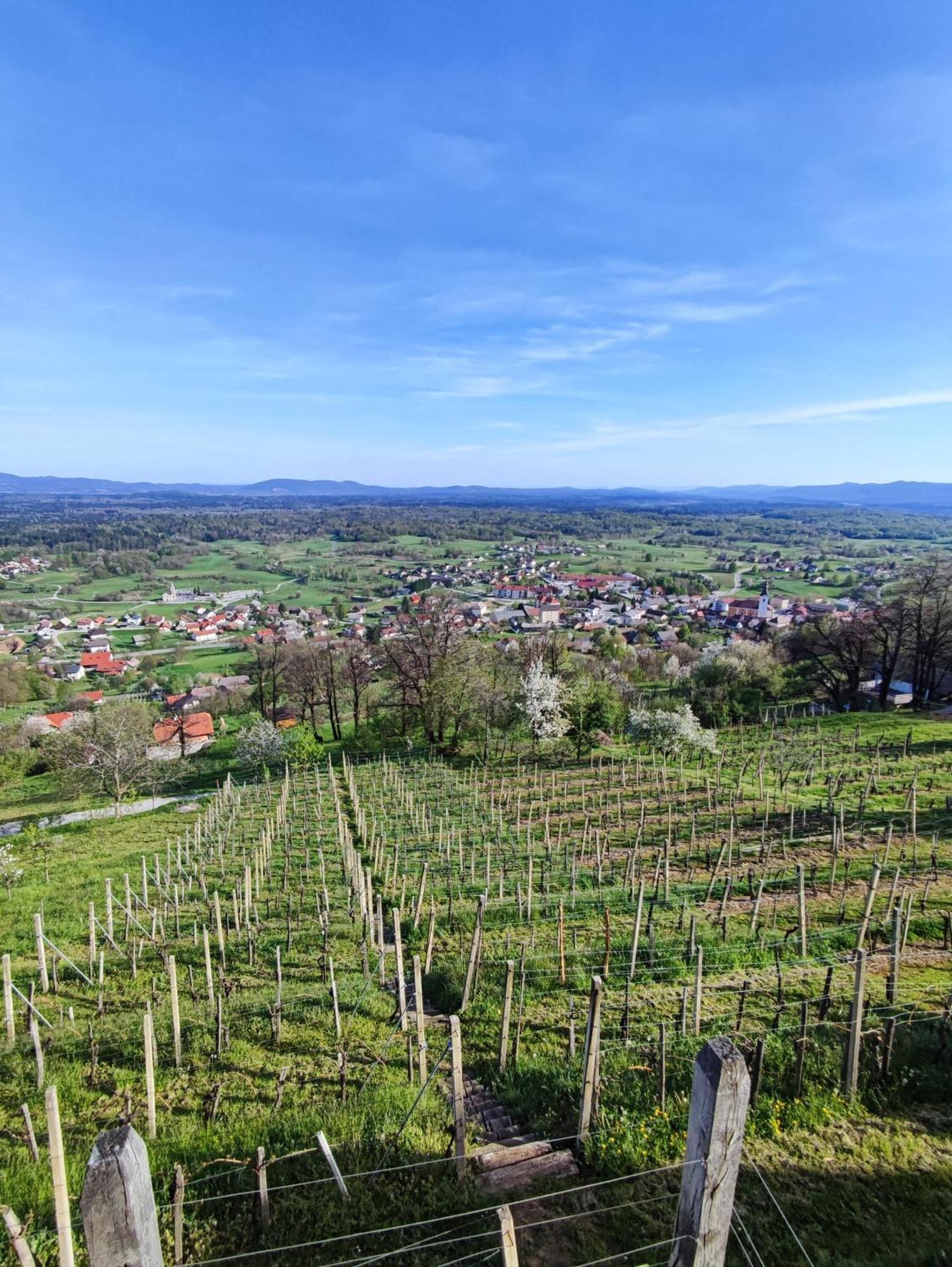 Zidanica-Vineyard Cottage Jakse Semic Kültér fotó
