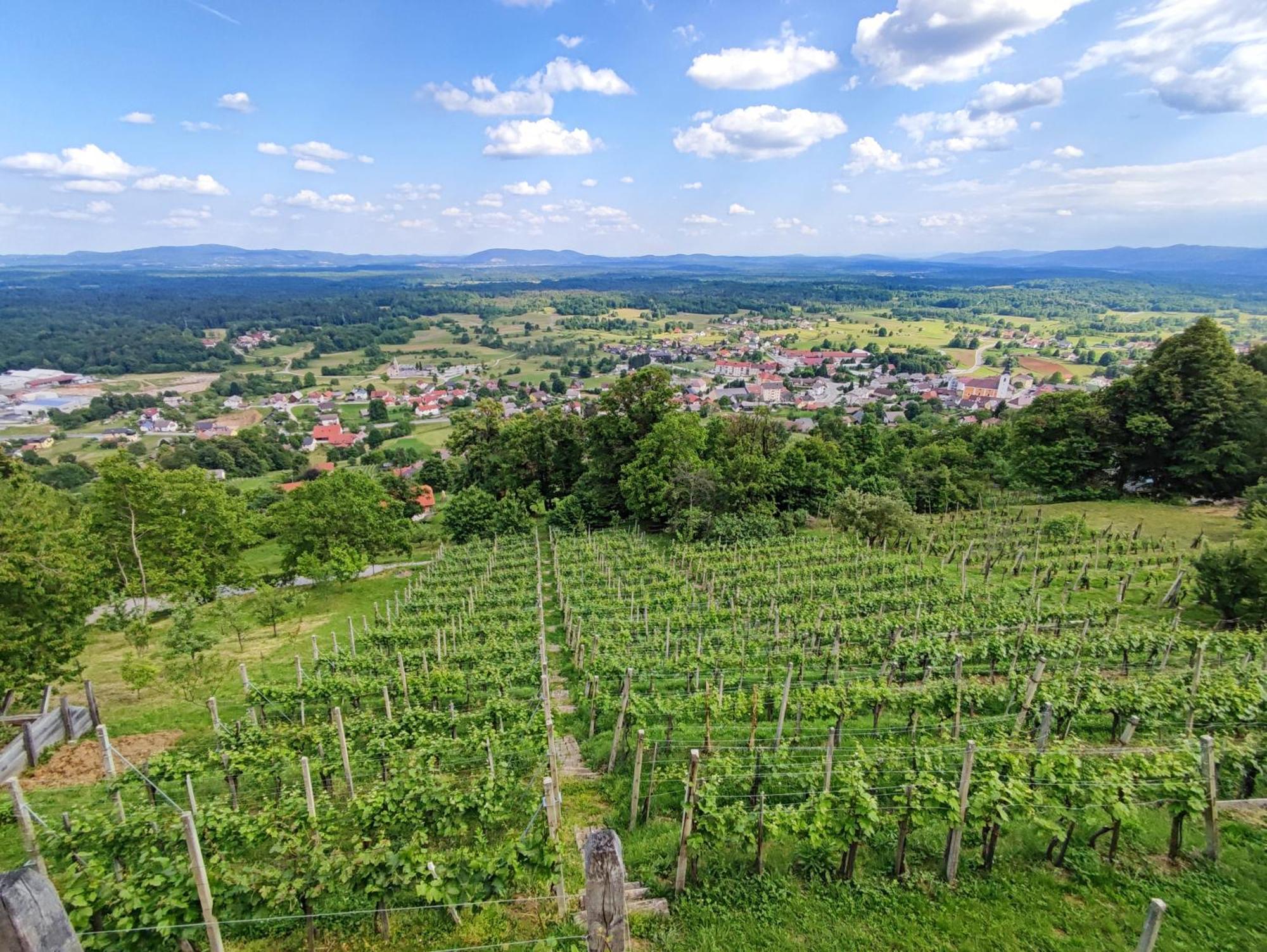 Zidanica-Vineyard Cottage Jakse Semic Kültér fotó